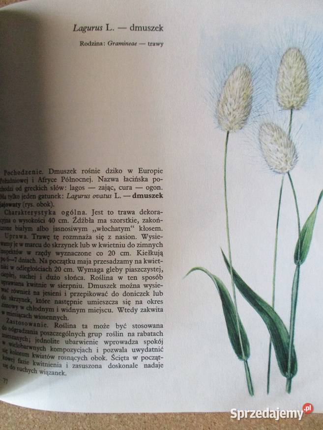 1001 sposobów na piękny ogródUprawa warzywOgród Łódź