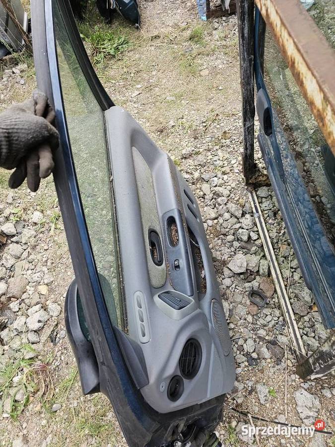 Drzwi laguna 1 prawy przód