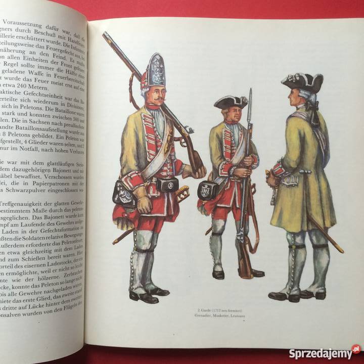 1191 Armia 1730 do 1733 Antyki, Sztuka, Kolekcje zachodniopomorskie