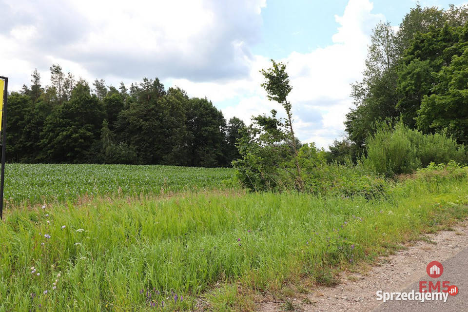 sprzedaży działki 1273m2 Rożyńsk Wielki sprzedam