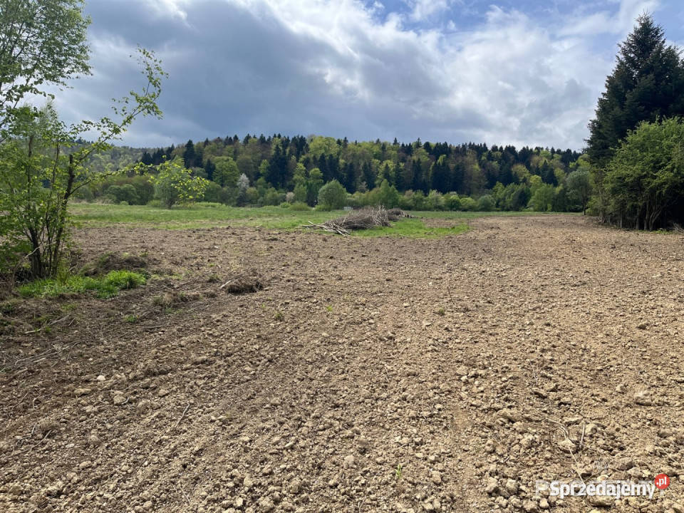 Działka Klimkówka 3308m2 kanalizacja sprzedam