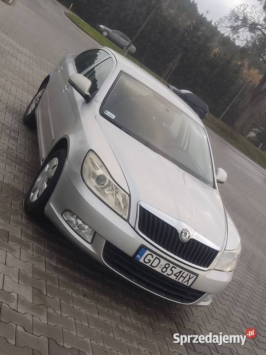 Skoda Octavia Chełmno