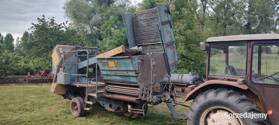 Kombajn do ziemniaków Anna Z644 Słupca