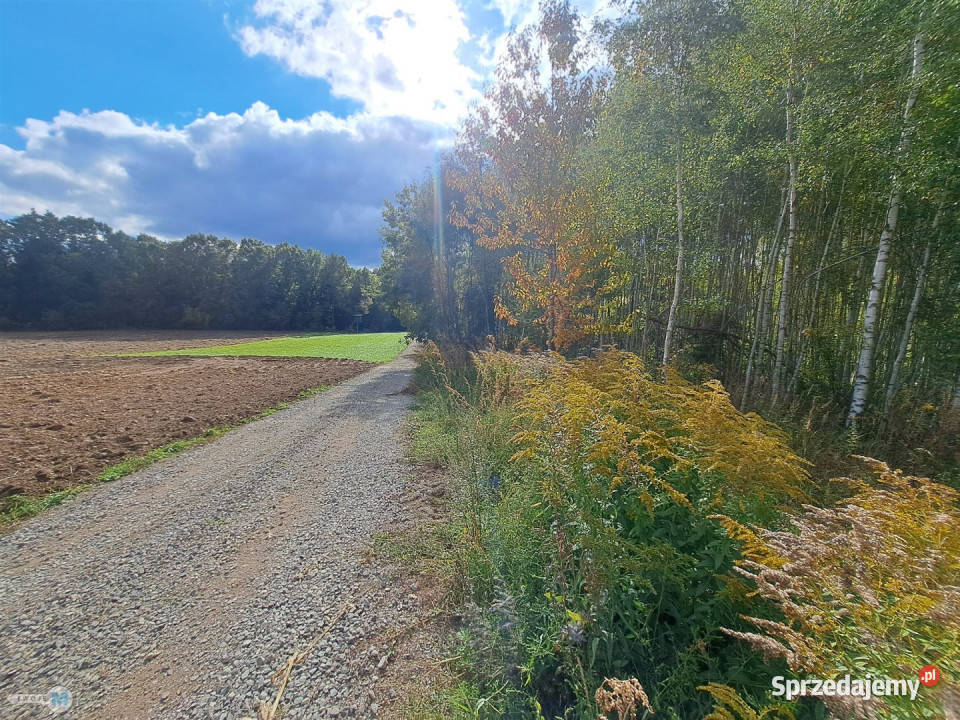 Ogłoszenie grunt 8879m2 Łagów