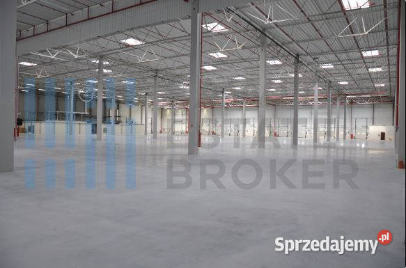 Hala klasyA Dąbrówka bez prowizji Mirków