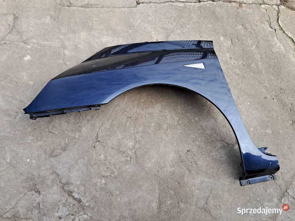 Renault Espace 4 błotnik przedni NV472 Proszowice