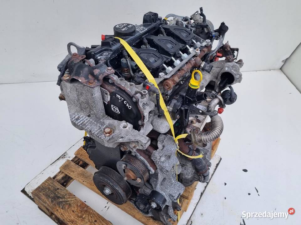 SILNIK KOMPLET Renault Master III 23 DCI 101 227 Rudka