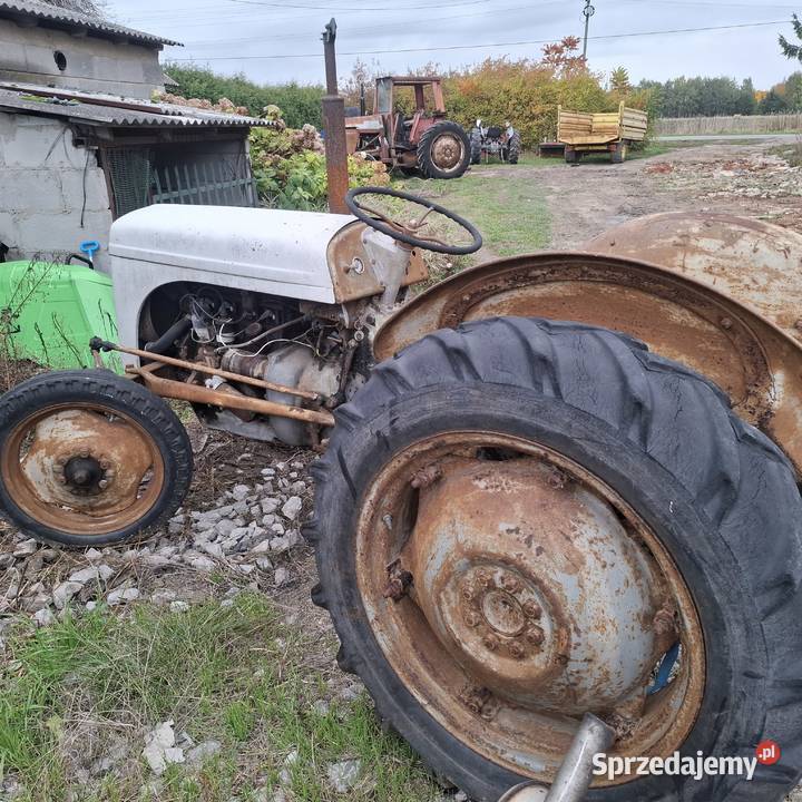 Ferguson Grabów nad Wisłą