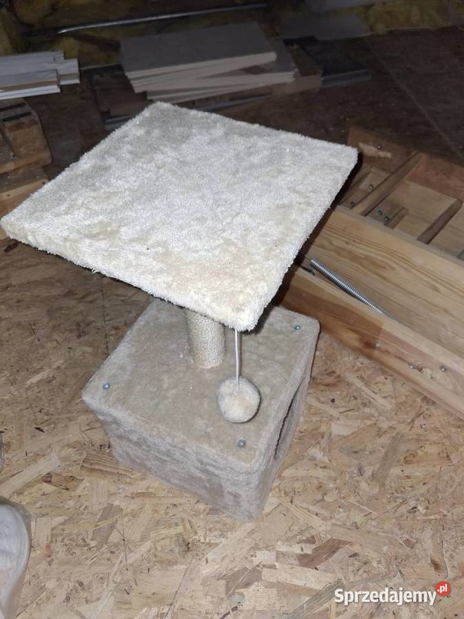 Drapaki kuweta kota Wieruszów