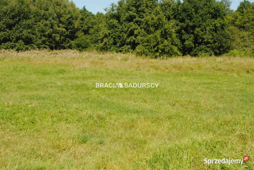 Działka Gdów 8670m2 Grunty i działki małopolskie