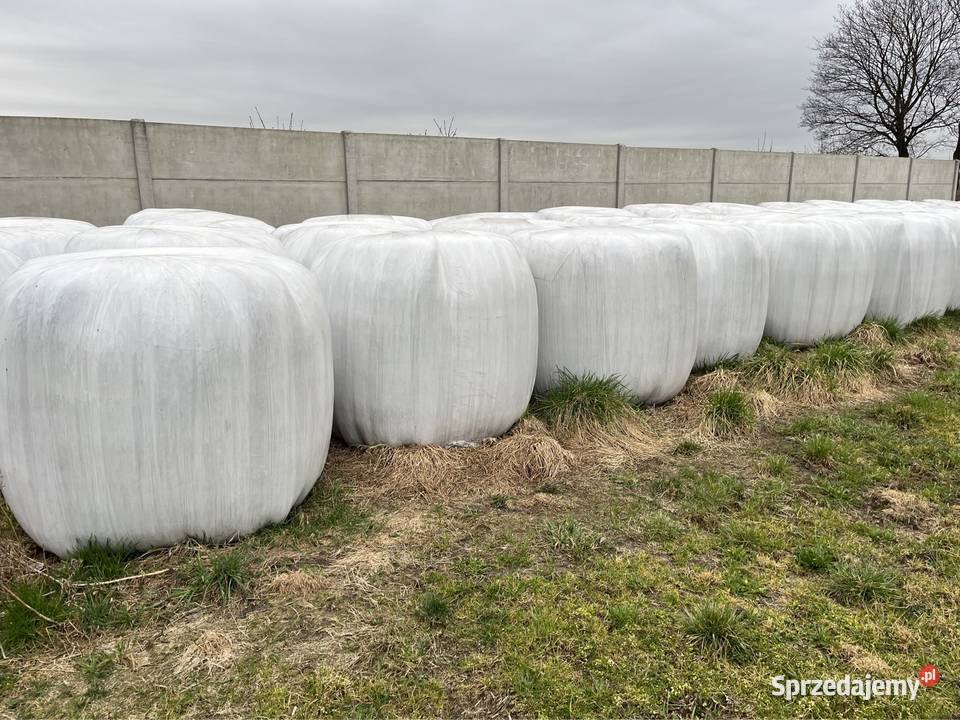 Sianokiszonka łódzkie Lipnik