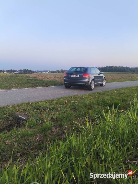 Audi A3 8p 48694691KM Zbytków