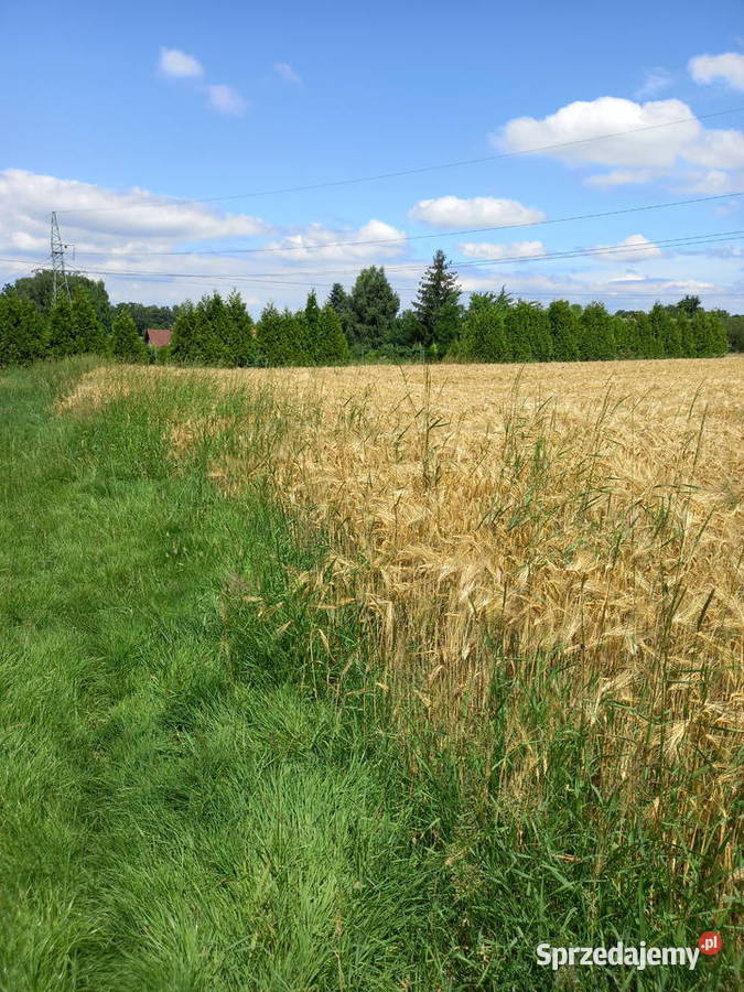 Sprzedam działkę budowlaną Bielsko-Biała sprzedam