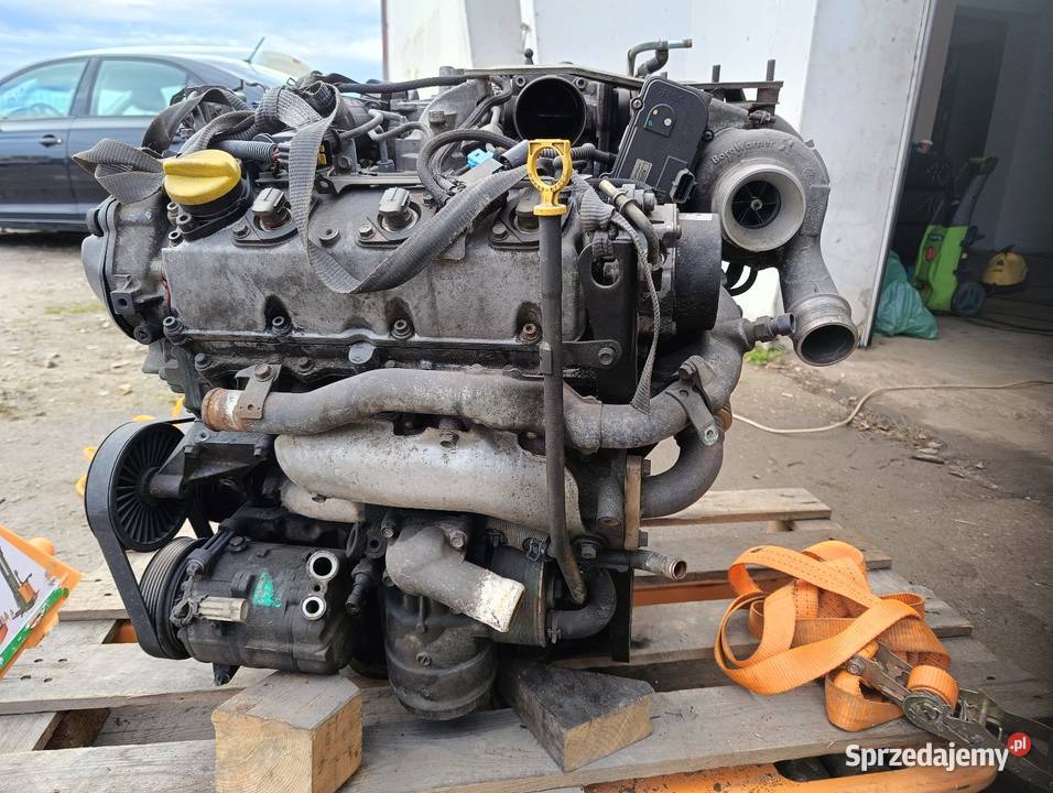 Silnik Opel Signum 30 V6 CDTI osobowe Brzeg