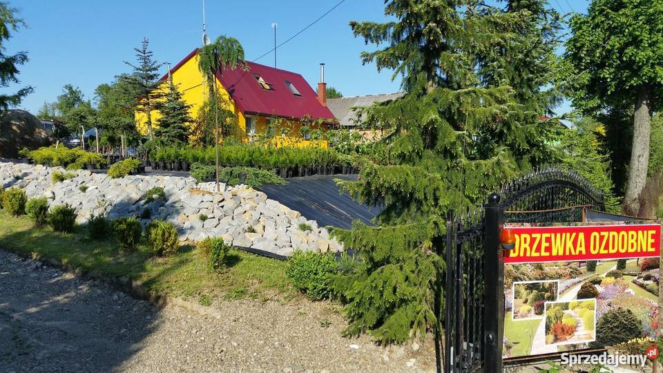 DOM DYNÓW RZESZÓW ŁUBNO BASEN SZKÓŁKA DOMEK Dynów