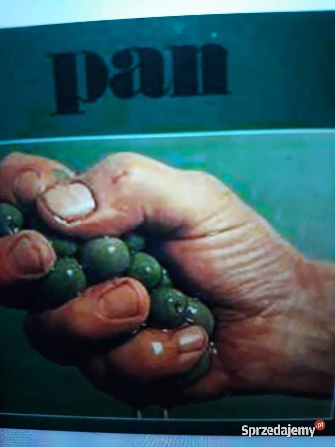 Archiwum duńskiego Prog Psych rocka PAN Pan 1971 płyta winylowa Płyty i kasety Rzeszów sprzedam