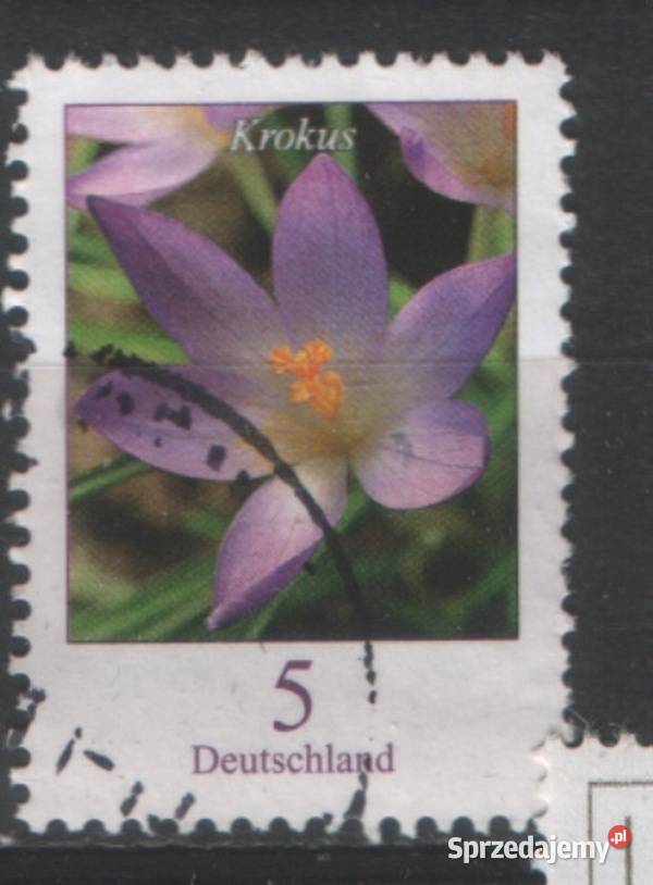 Zn RFN wykaz w opisie kas 2005 Filatelistyka Gliwice