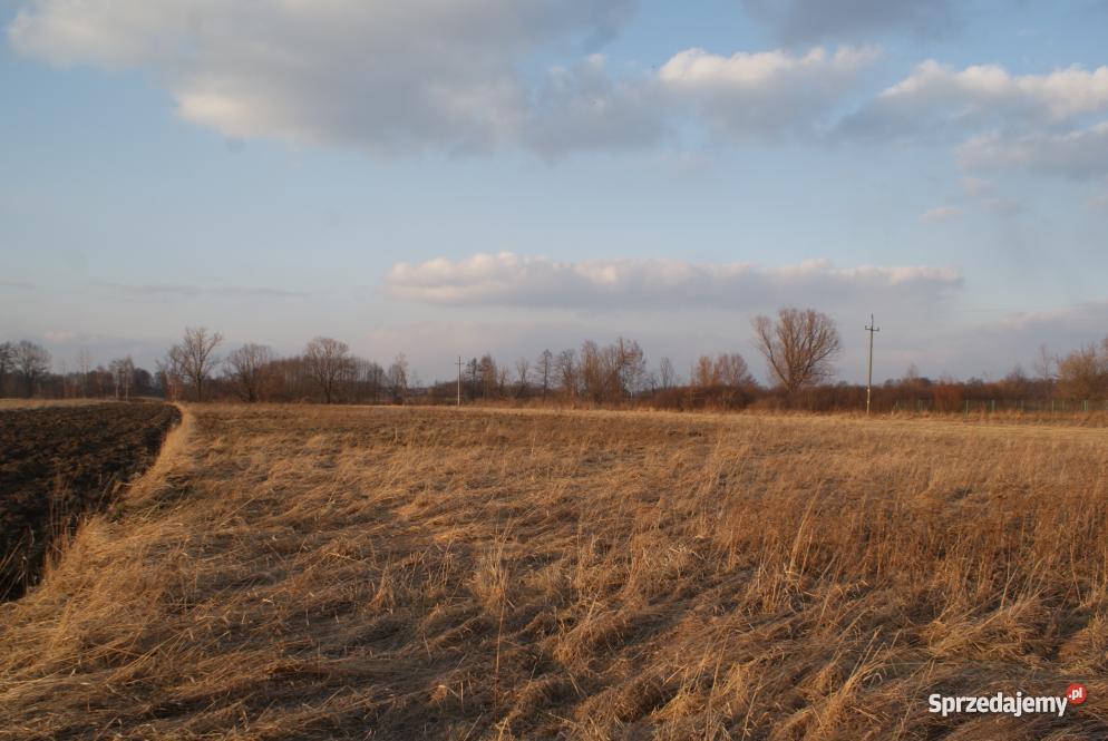 Działka Sędziszów Małopolski Ulica Głowackiego 1 Sędziszów Małopolski