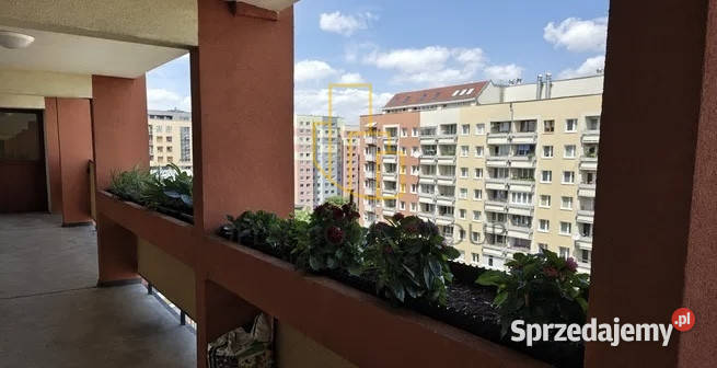 Dwupoziomowe 80m2 Gądów Mały Bulwar Ikara sieć dolnośląskie Wrocław