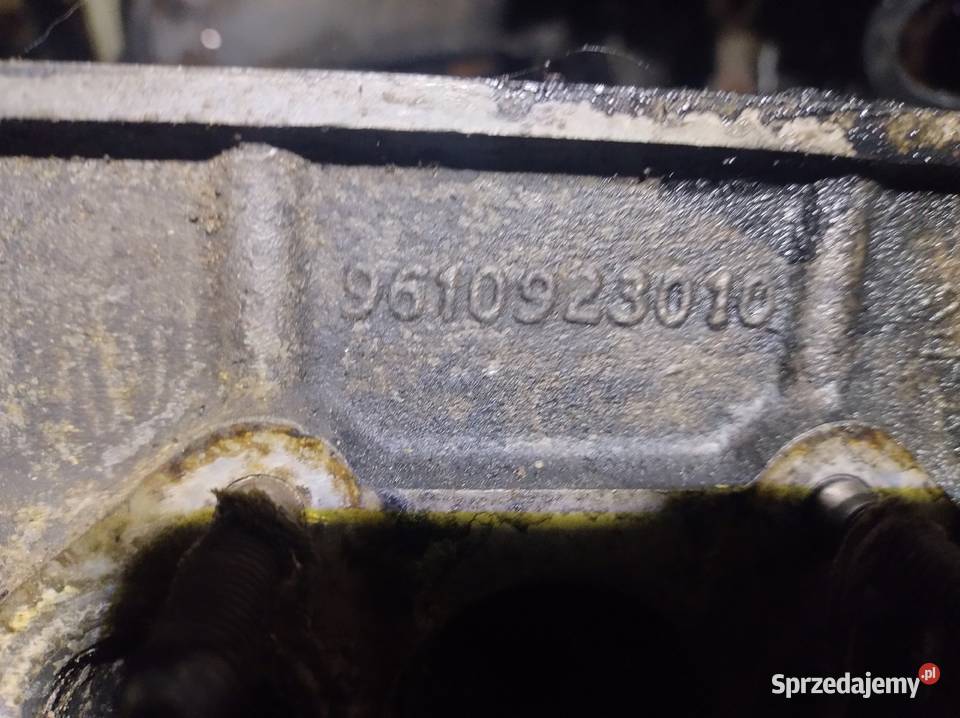 CITROEN PEUGEOT 11 głowica 9610923010 osobowe Głowice cylindrów świętokrzyskie Kielce