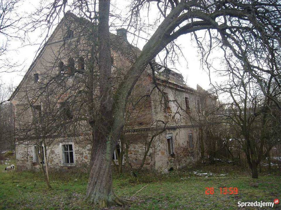 Stankowice sprzedam działkę Wilnowo