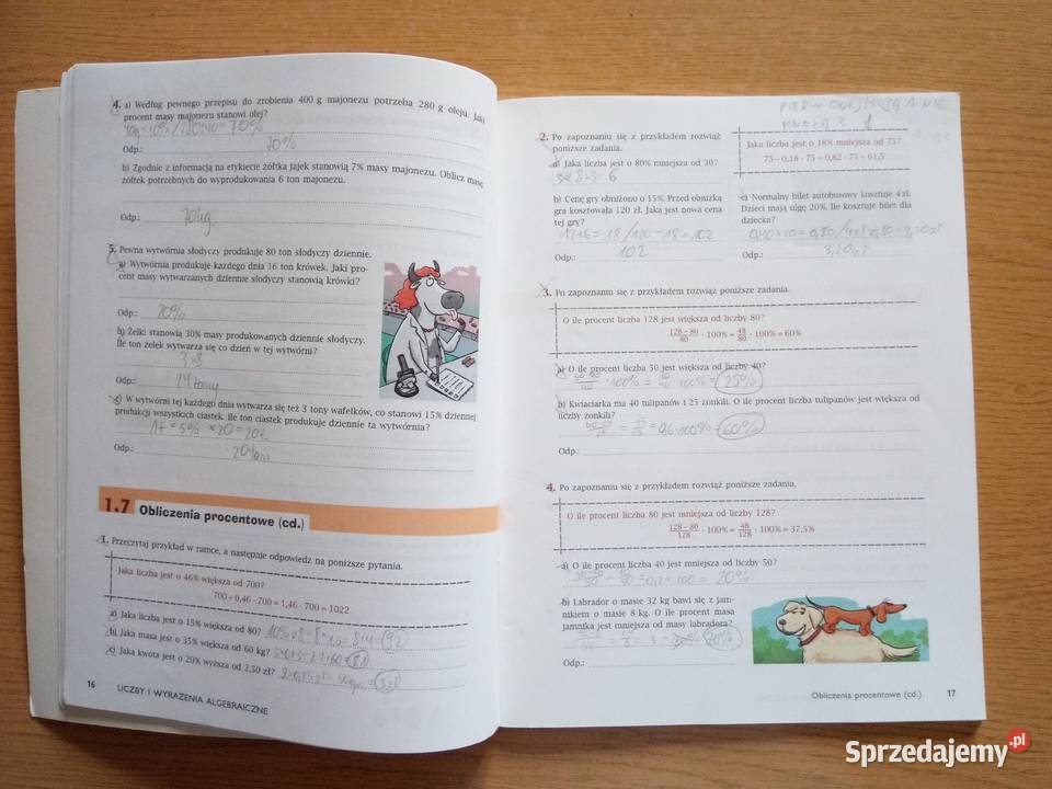 Matematyka 3 Gimnazjum Sprawdzian Całoroczny Gwo sprzedajemy.pl
