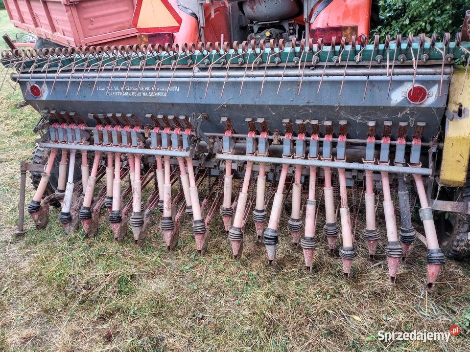 Siewnik poznaniak dolnośląskie Złotoryja