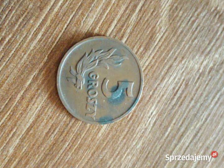Sprzedam 5 gr 1949 r bzm Numizmatyka Chełm
