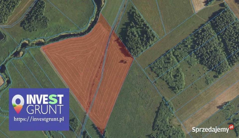 715 ha przetarg na dzierżawę gruntów rolnych Wynajem Wólka Piaseczna sprzedam