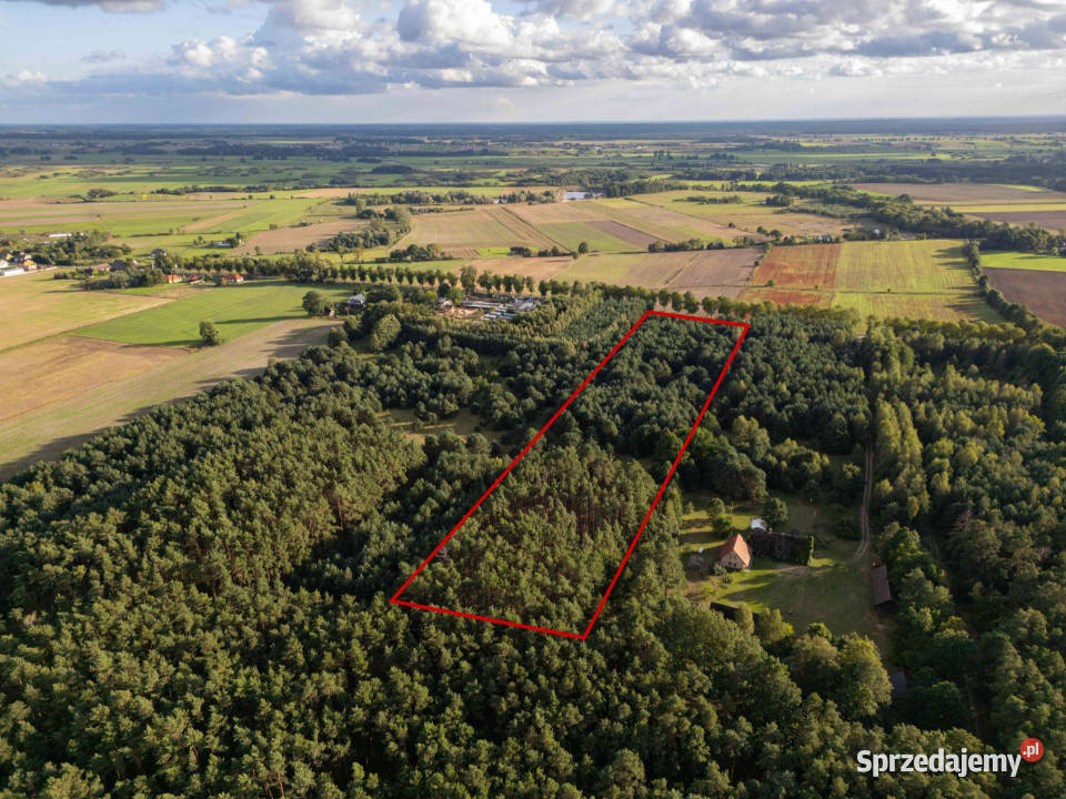 Działka z wydanymi WZ pod dom jednorodzinny 427m Jędrzejewo sprzedam
