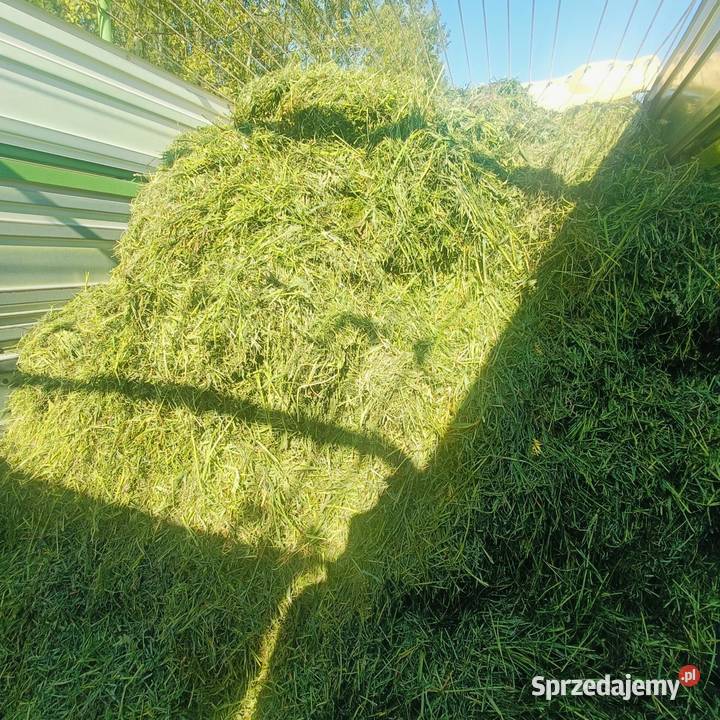 Przyczepa samozbierająca Krone XXL Ryki