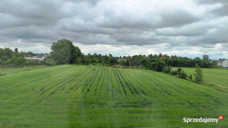 Mieszkanie Iwiny 9063m2 4pokojowe Sprzedaż dolnośląskie