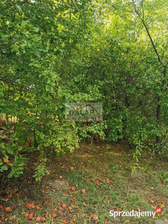 Grunt Krupia Wólka 1000m2 mazowieckie