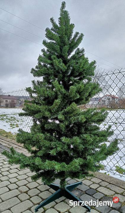 CHOINKA 180 żywa Gęsta zielona świąteczna Brzostek