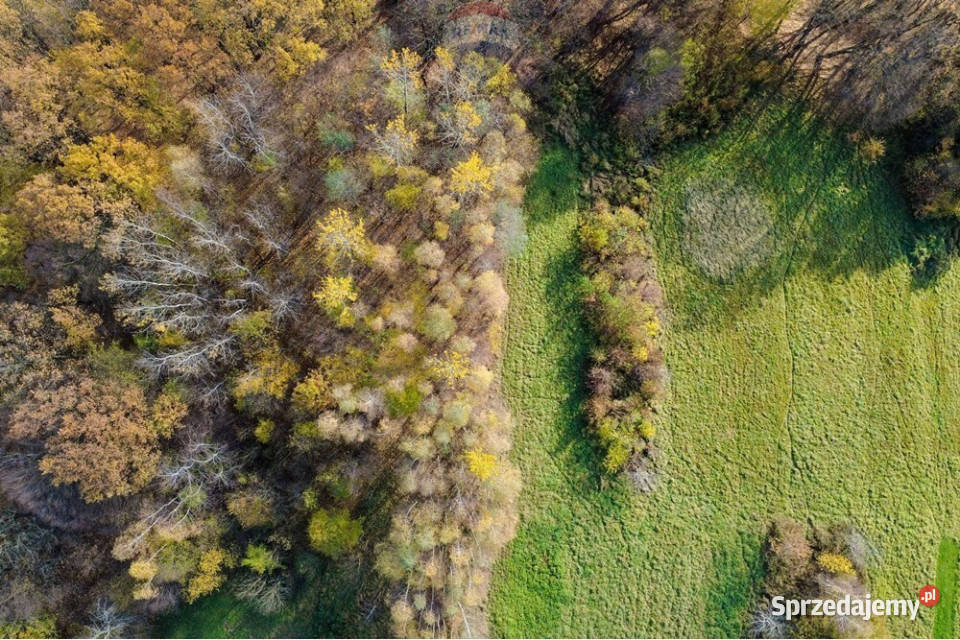 Działka rolna 848 m w Oczkowie śląskie sprzedam