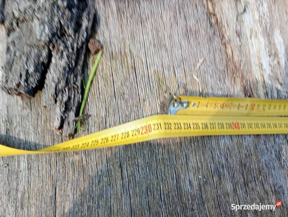 Drewno Dąb Parszów