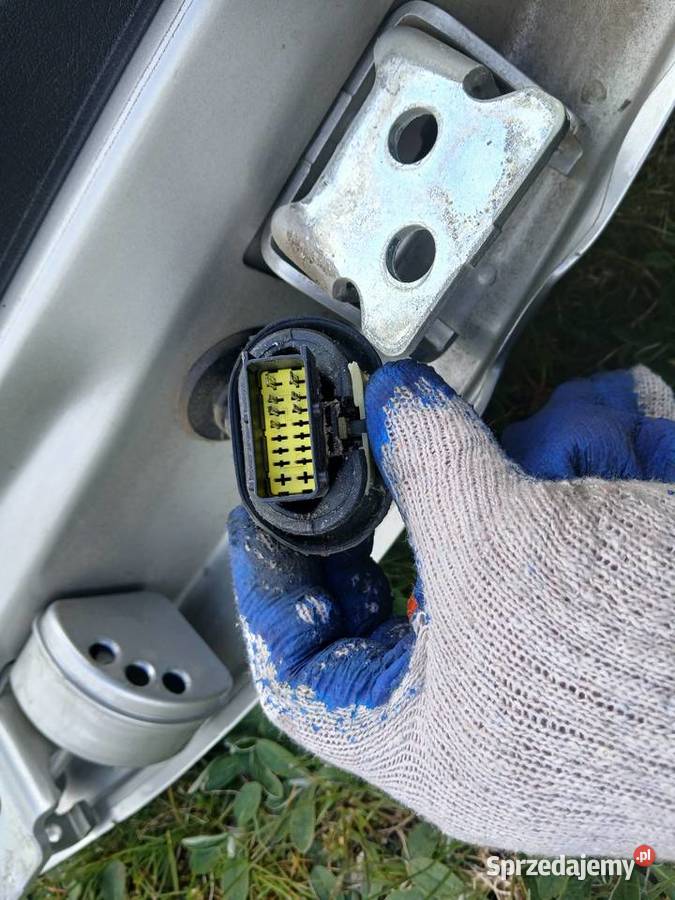 Drzwi Prawy tył tylne kompletne Peugeot 207EU Radłów