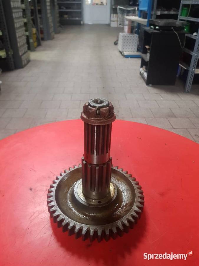 701701252 Wał z kołem zębatym MTZ Sulechów sprzedam