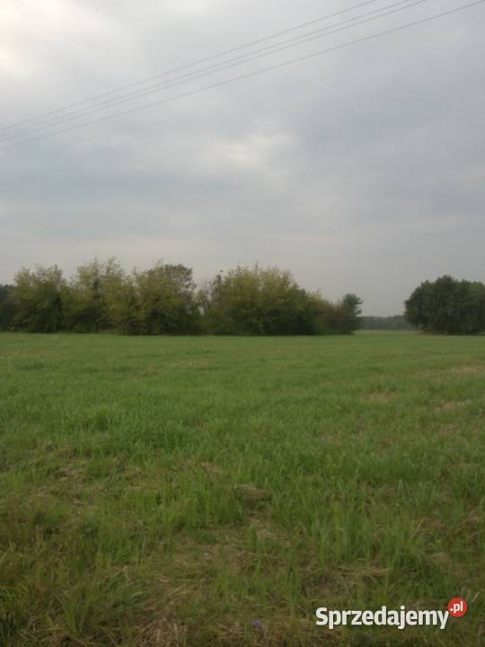 Działka siedlisko Ciechanowiec