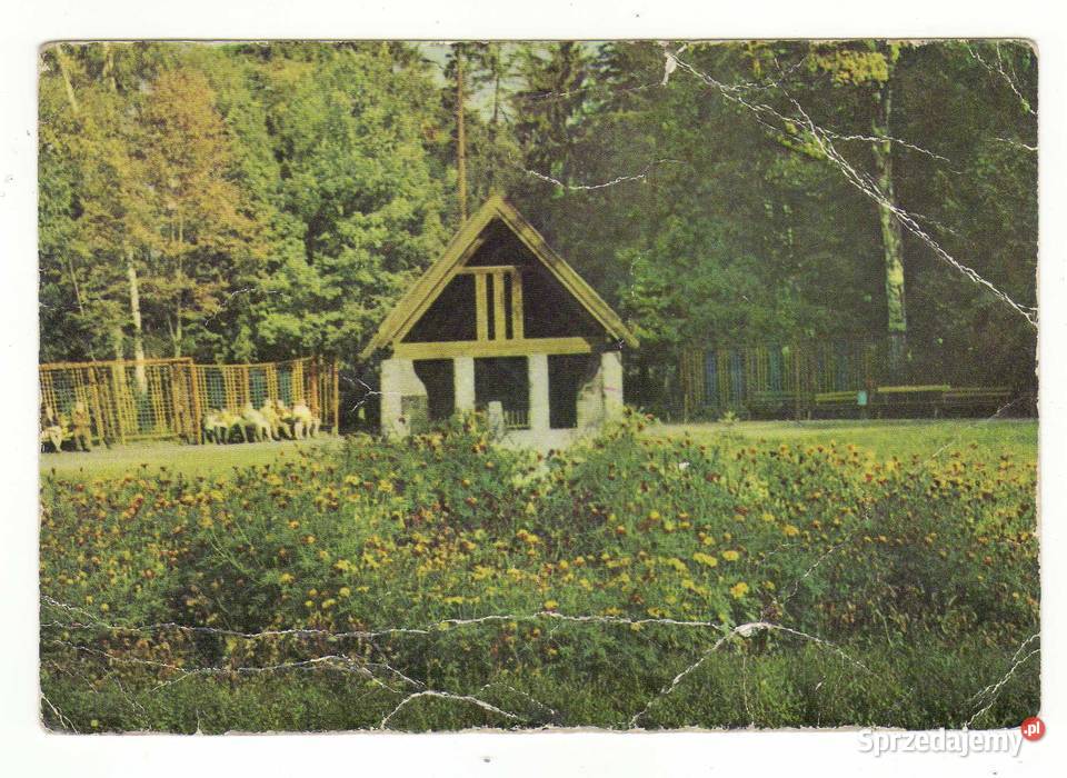 POŁCZYN ZDRÓJ PARK ZDROJOWY Krynki sprzedam
