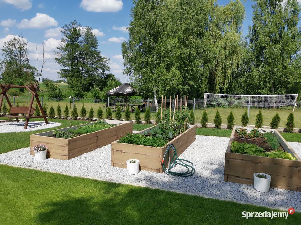 Skrzynia inspektowa warzywniak eko donica Rzeszów sprzedam