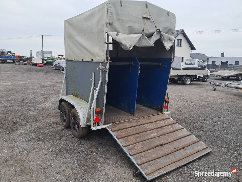 Przyczepa do koni Mogilno sprzedam