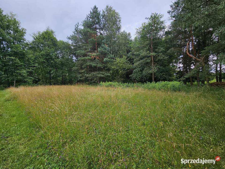 Działka budowlana 6000 m2 JEZIOROLAS Drogoszowice