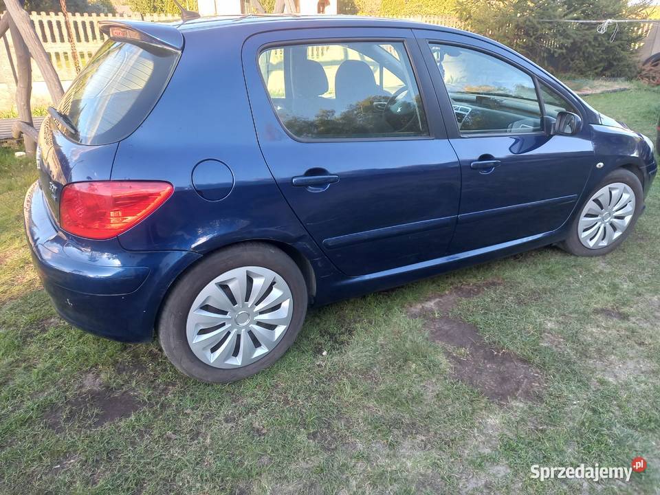 Peugeot 307 250000km łódzkie Sieradz
