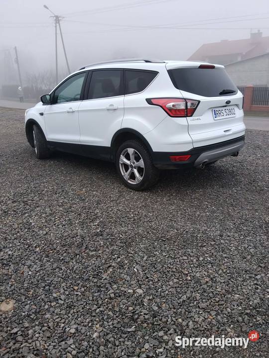 Ford Kuga Oryginalny Lakier