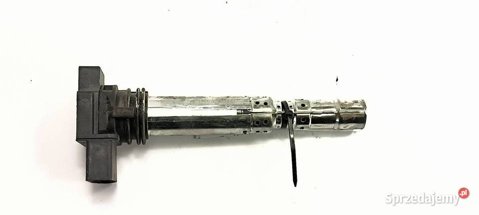 CEWKA ZAPŁONOWA AUDI A8 D3 W12 0040102031 kujawsko-pomorskie sprzedam