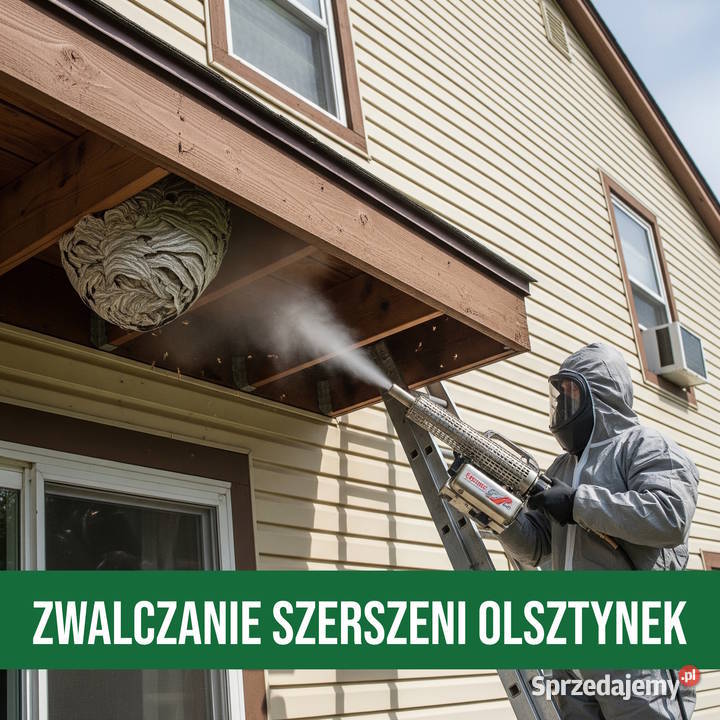 Zwalczanie Szerszeni Olsztynek Usuwanie Gniazd