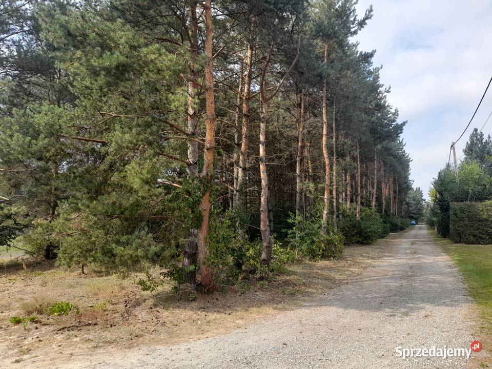 Syndyk sprzeda udziały w grunatach Jastkowice sprzedam