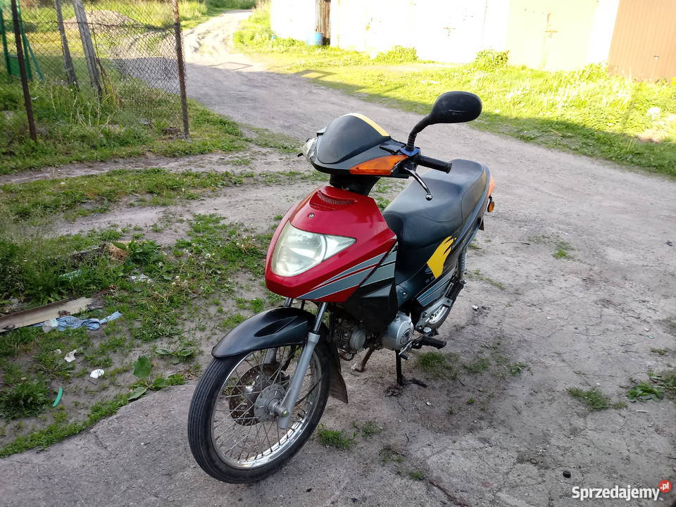 Sprzedam zippa salmo Wopławki