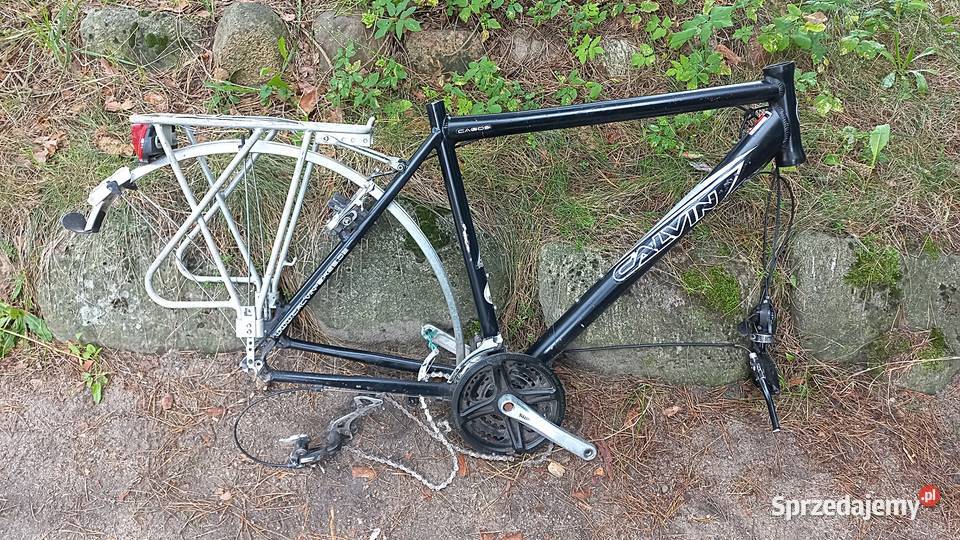 Rama Rowerowa Rower Męski Calvin CA605 Alu 7005 Wołów sprzedam